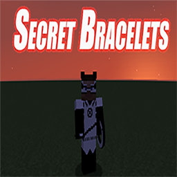 Secret Bracelet project image
