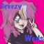 Breezy Weds logo