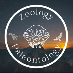 Zoology & Paleontology, Oh My! project image