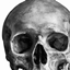 Flat out death logo