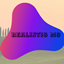 MC REALISTIC SURVIVAL logo