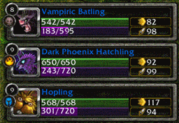 Pet Battle HUD