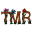 The Mighty Race to Space! logo