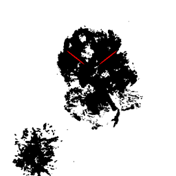Nightmare Traveler logo