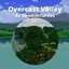 Overcast Valley logo