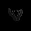 Pixelbrad logo