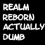 Realm Reborn Actually Dumb logo