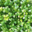More Nature by JoshGamer101 logo