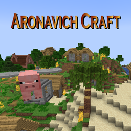 AronavichCraft project image