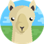 Llamas logo