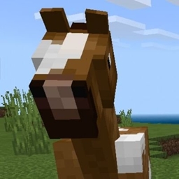 Equestrian pack