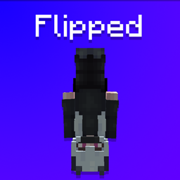 Flipped project image