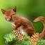 bettergamesforfriends logo