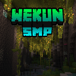 WeKuN SMP project image