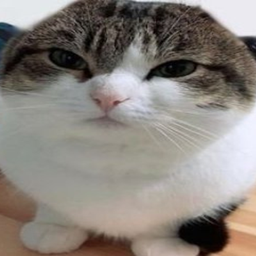 Modpack for Ras' Server