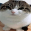 Modpack for Ras' Server logo