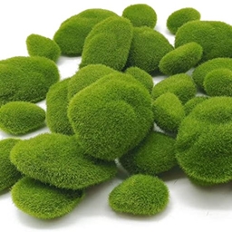 Simply Buttmoss project image