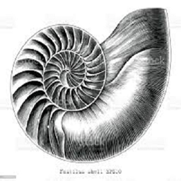 NautilusCraft project image