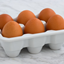 eggolib logo