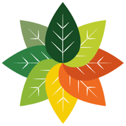 RP Plus logo