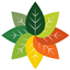 RP Plus logo