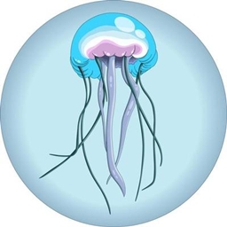 JellyWelly project image