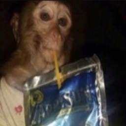 Monkey MC logo