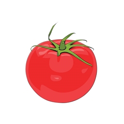 slingotomatocraft