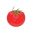 slingotomatocraft logo