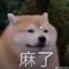 Dragon Pog Super logo