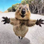 QuokkaCraft logo
