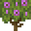 Configured Feature Saplings logo