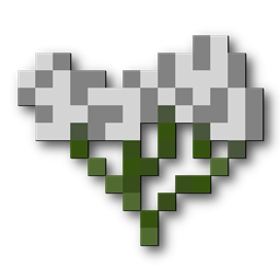 Heracleum project image