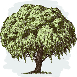 Sycamore SMP logo