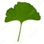 Falling Leaves SMP logo