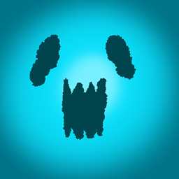 Soul Experience project image