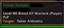 TargetofTarget Tooltip logo