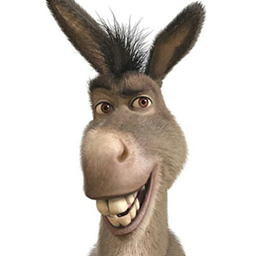 Donkey Transport Inc. logo