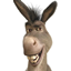 Donkey Transport Inc. logo