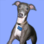 Joshua-Pack logo