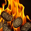 Seed Burn logo