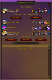 Pet Party