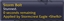 ICWutUDidThere logo
