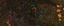 RunePack logo