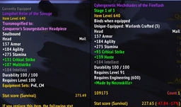 Stat Weight Score project image