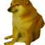 Cheems survival on the ground logo