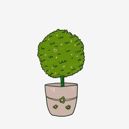 Potted Plants