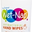 WettyNaps logo