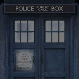 TARDIS Havoc logo