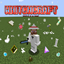 WhitchCraft logo